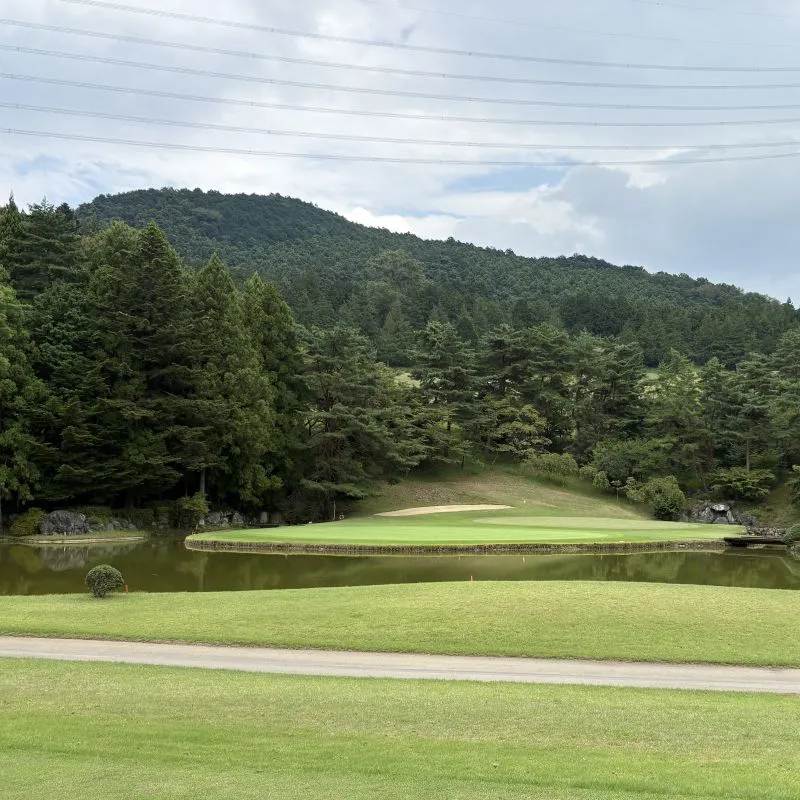池越えショート