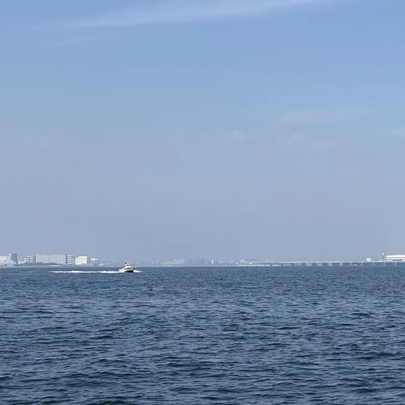ベタ凪な東京湾
