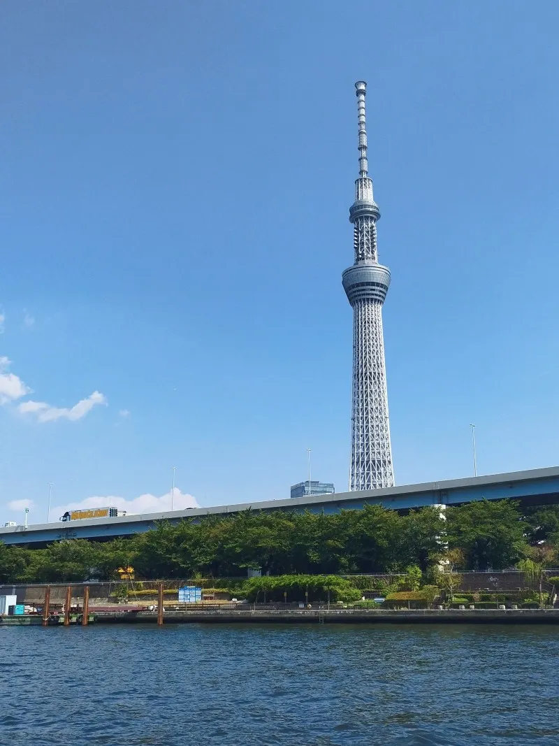 隅田川からのスカイツリー
