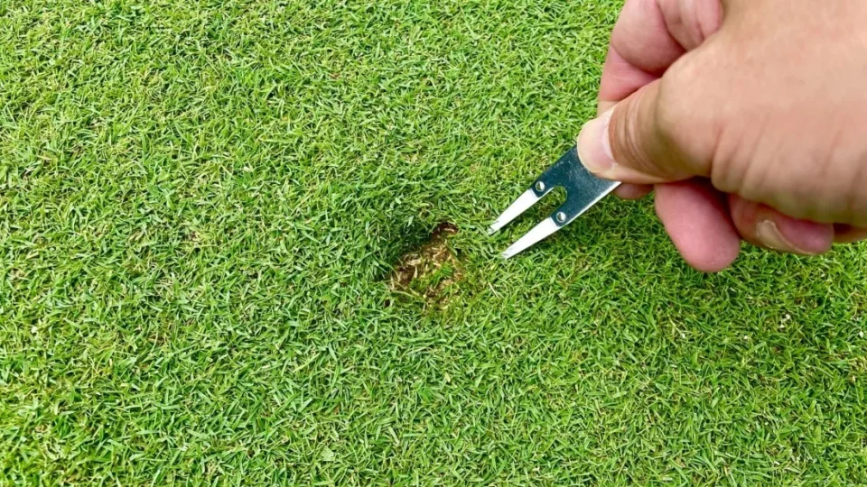 上達につながるグリーンフォークの選び方とピッチマークを直す尊敬される粋なマナー