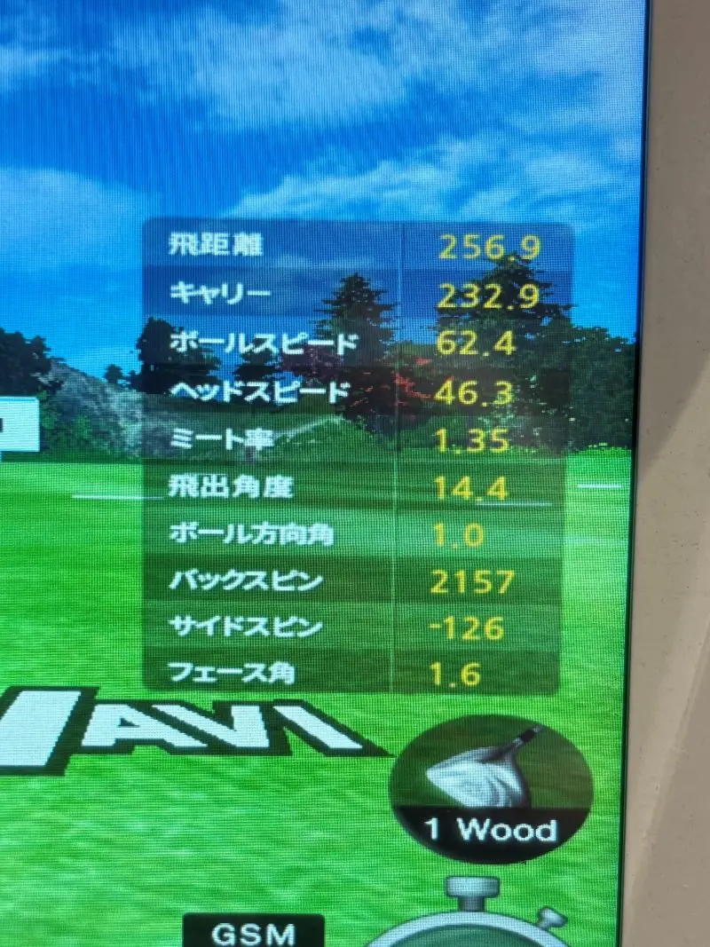 ドライバーのショットデータ