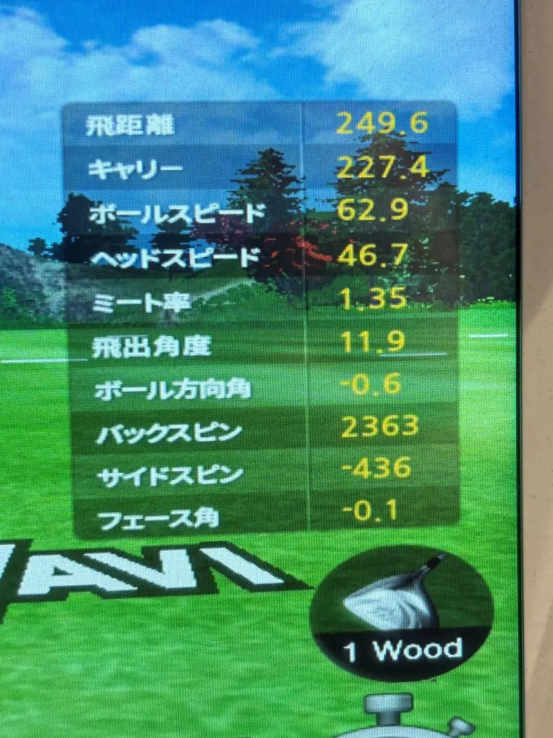 ドライバーショットのデータ