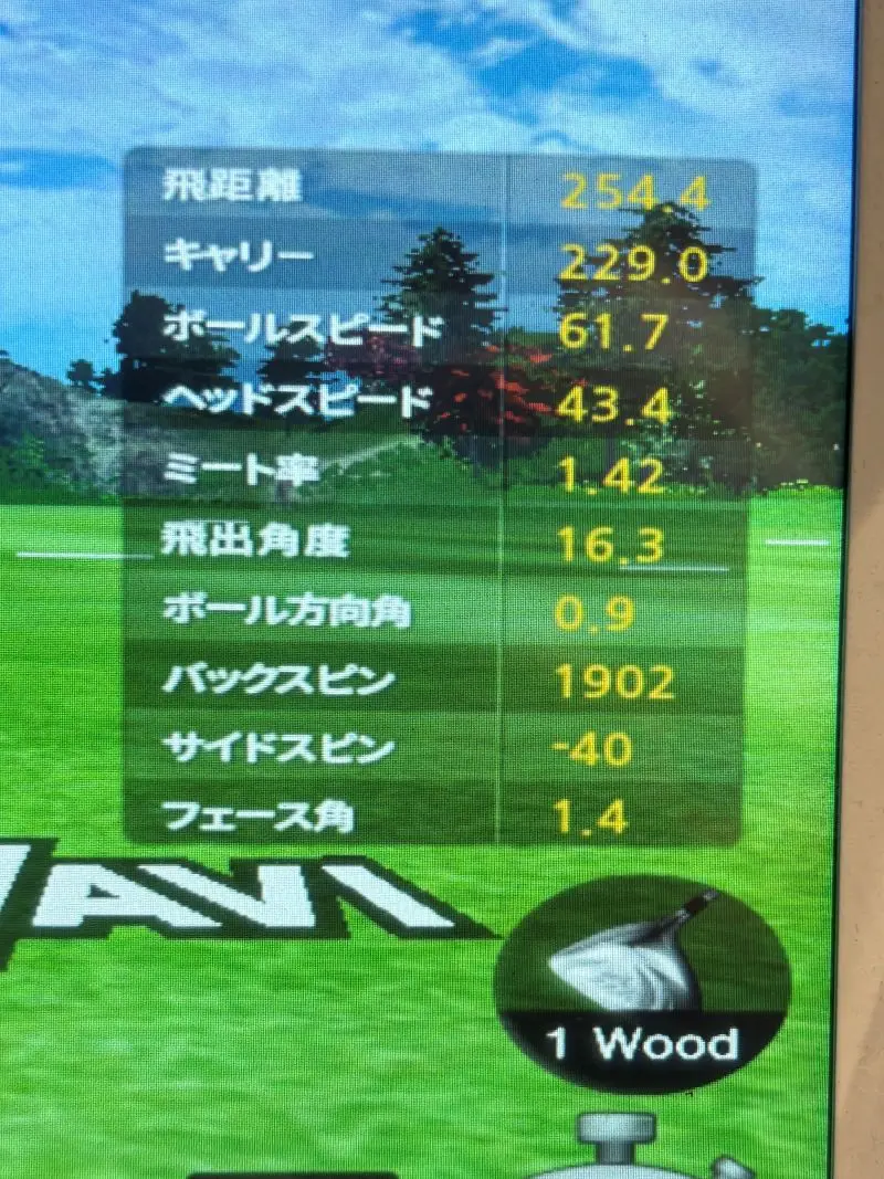 ドライバーショットのデータ