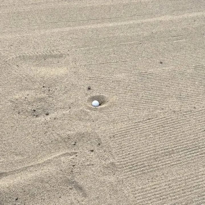 バンカーで目玉