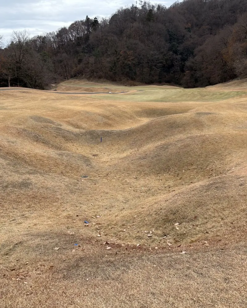 緑野カントリークラブのハゲたラフ