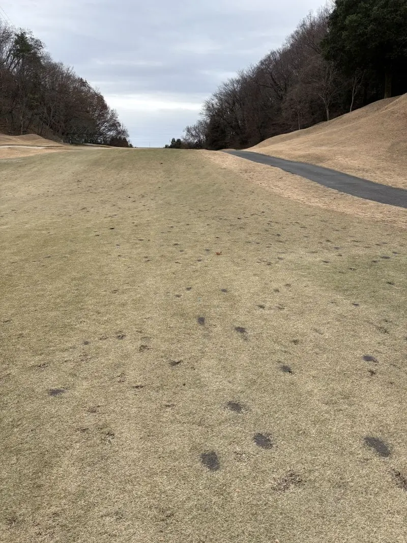 緑野カントリークラブのフェアウェイ