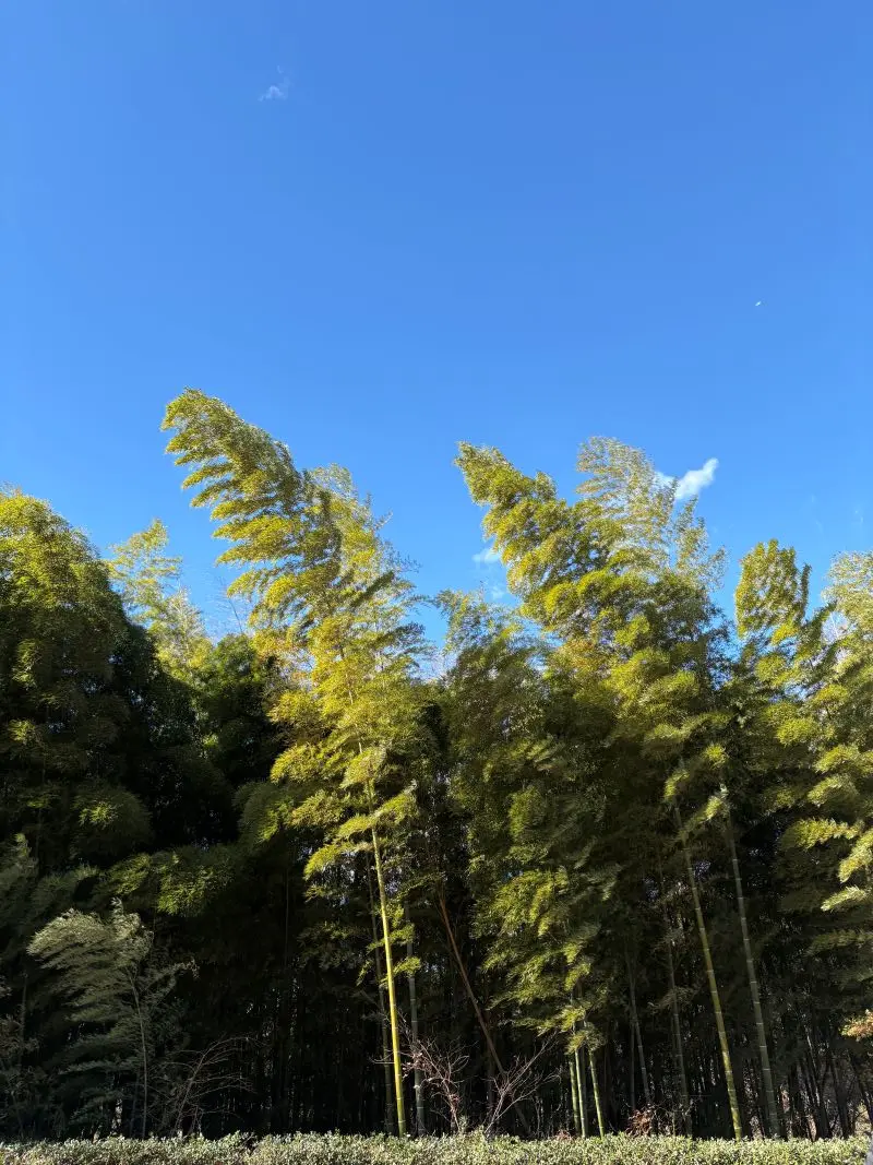 高根カントリー倶楽部